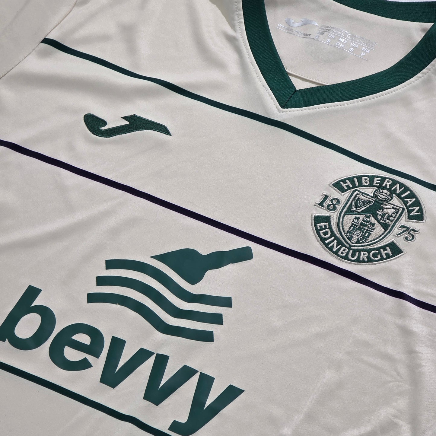 Hibernian FC 2023/24 Third