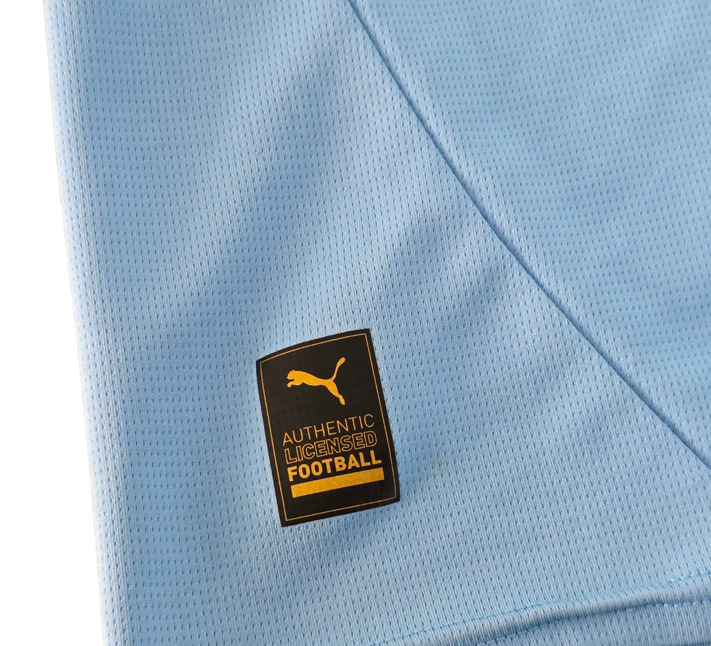 Manchester City 2024/25 Home