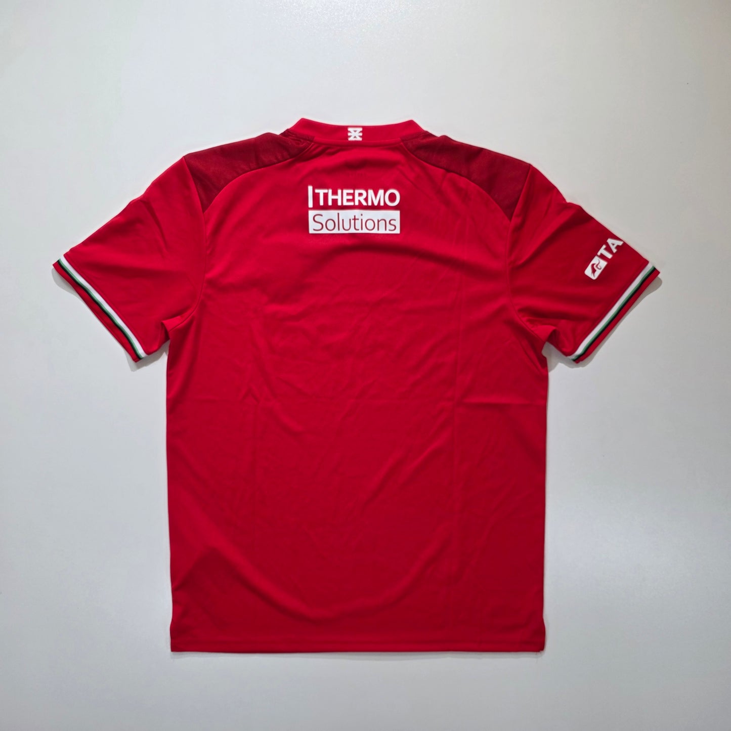FC Twente 2024/25 Home Shirt