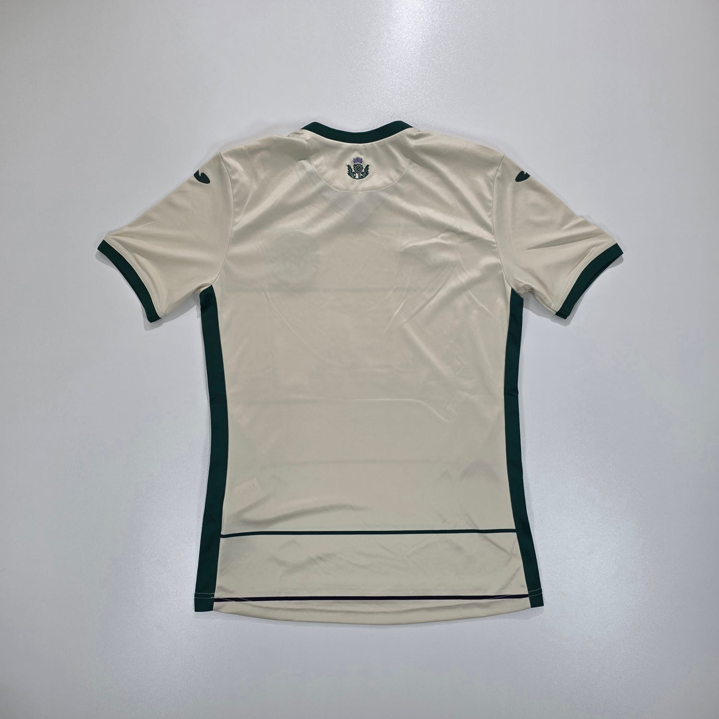 Hibernian FC 2023/24 Third