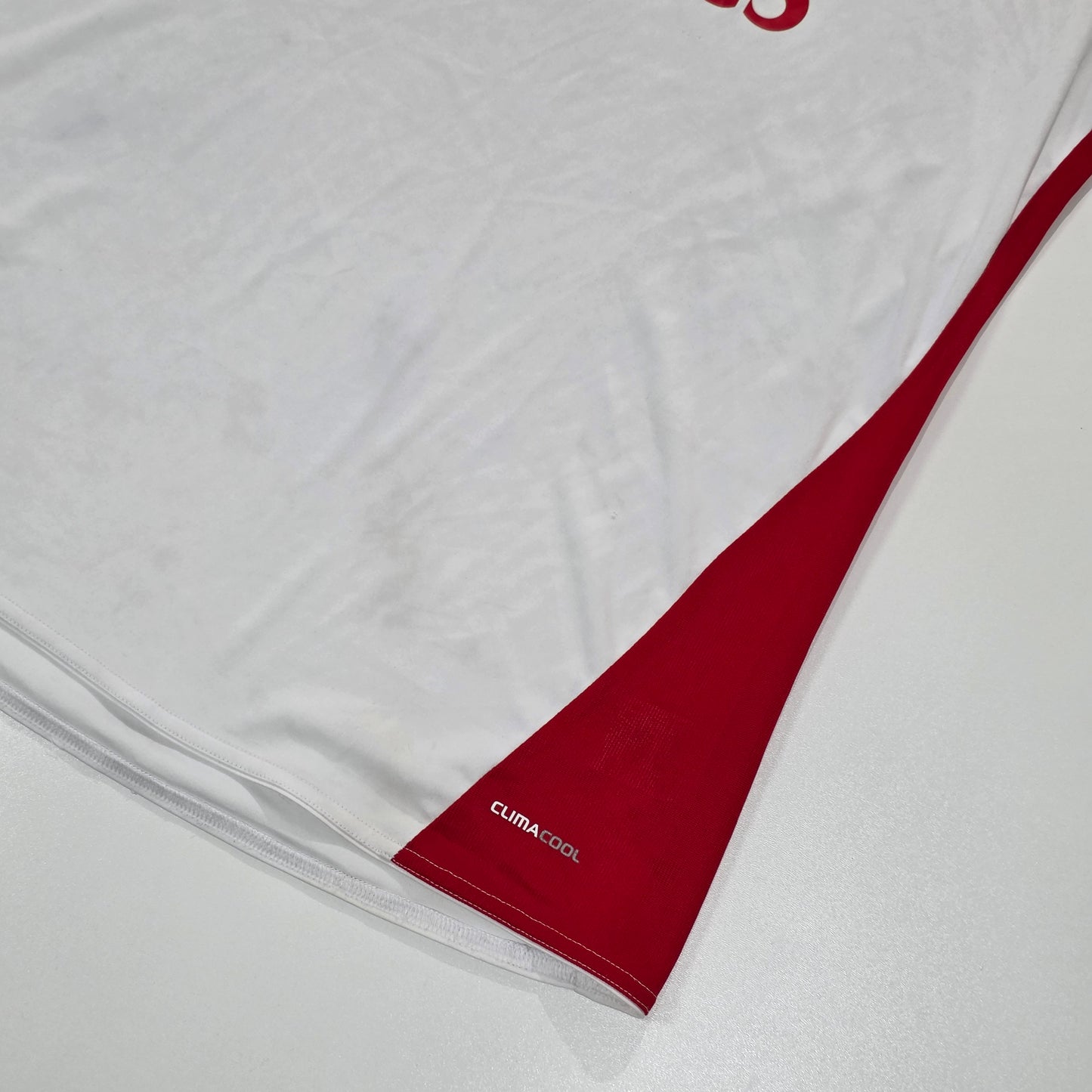 SV Hamburg 2010/11 Home