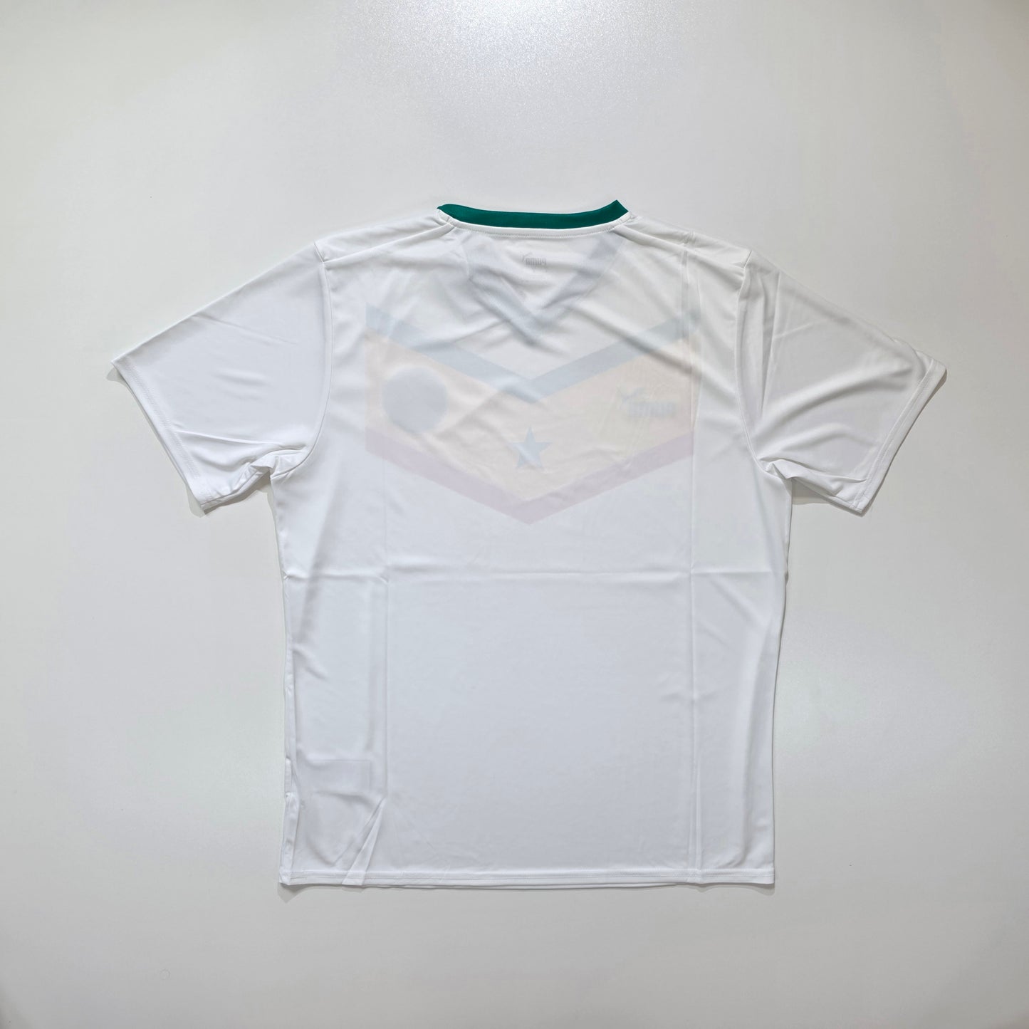 Senegal 2022/23 Home Shirt