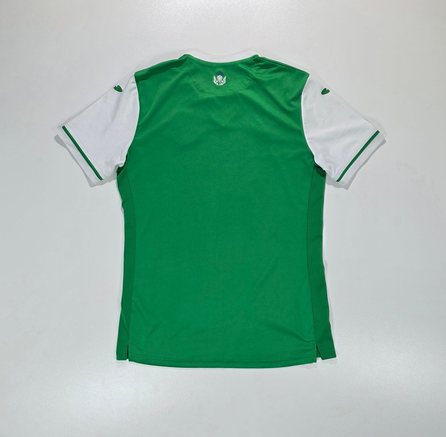 Hibernian FC 2024/25 Home