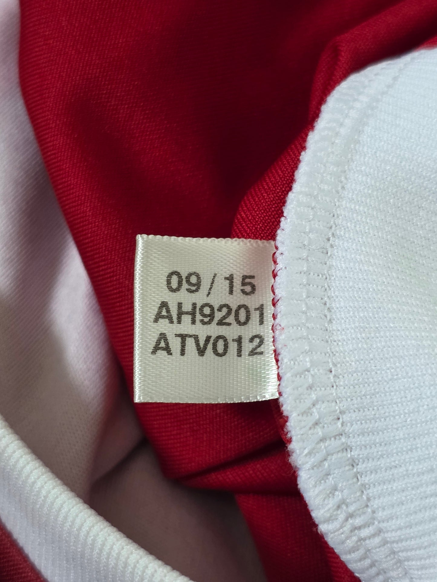 Denmark 2015/16 Home